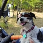 Beverly Bradford - @bradford.beverly - Instagram