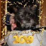Bev Brandt - @beverly.brandt_ - Instagram