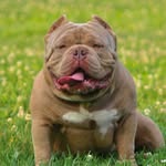 Brandon Beverly - @brandon.beverly.ceo - Instagram
