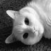 Beverly Braun - Facebook