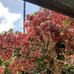 Beverly Bravo - Facebook