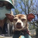 Beverly Bravo - @bravodenverdancer - Instagram