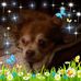 Beverly Breault - Facebook