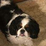 Beverly Brewer - @brewerbeverly - Instagram