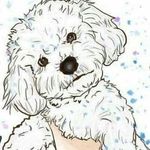 Beverly Delia Caro Briceño - @bricenobeverly - Instagram