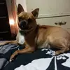 Beverly Brinson - @beverly.brinson3 - TikTok