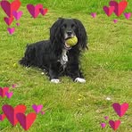Beverley Brister - Facebook