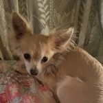 Beverly Britton - @beverly.britton.3701 - Instagram