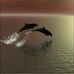 Beverly Britton - Facebook