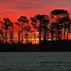 Beverly Brock - @southernbelle320 - TikTok