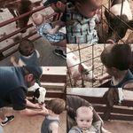 Beverly Brock Wilson - @wilsob46 - Instagram