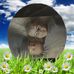 Beverly Broerman - Facebook