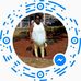 Beverley Broughton - Facebook