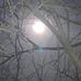 Beverly Brunner - Facebook