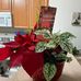 Beverly Bruno - Facebook