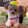 Bruno - @beverlyhillsbruno - TikTok