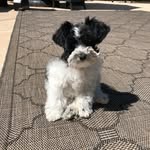 Beverly Buck - @beverlybuck69 - Instagram