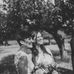 Beverly Buck - Facebook