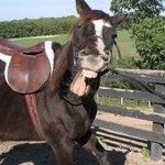 Beverly Buckman - @speechfree4ever - Instagram