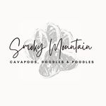 Beverly Buckner Tarver - @smokymountainscdp - Instagram