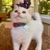 Bev Buetner - Facebook