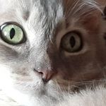 Beverly Bullock - @bbullock2000 - Instagram