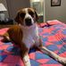 Beverly Bullock - Facebook