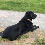 Beverly Bullock - @rupbev - Instagram