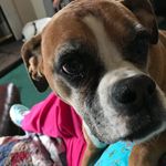 Beverly Bunch Phillips - @beverly_louies62 - Instagram