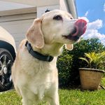 Beverley Bunn - @bunn_beverley - Instagram