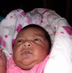 Beverly Bunnery - Facebook
