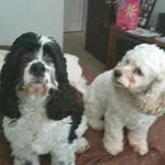 Beverly Burbank - @beverlyburbank - Instagram