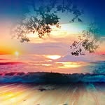 Beverly Burch - @beverly.burch - Instagram