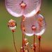 Beverly Burch - Facebook