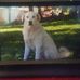 Beverly Burdette - Facebook