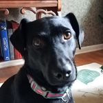 Beverly Burgess - @skaterbev - Instagram