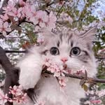 Beverly Burke - @vohzivz - Instagram