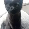 Beverly Burke - @beverly.burke0 - TikTok