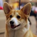 Beverly Burkhart - @beverlyburkhart - Instagram