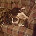 Beverly Burks - Facebook