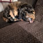 Beverley Burleigh Marshall - @burleighmarshall - Instagram