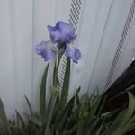 Beverly Burr - @beverly_burr - Instagram