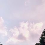 Beverly W. - @beverlywayneburrows - Instagram