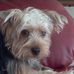 Beverly Burton - Facebook