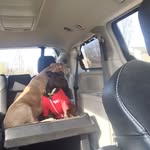 Beverly Herndon Bushee - @beverlyherndonbushee - Instagram