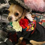 Beverly Bustamante - @bustamante_beverly - Instagram