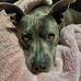 Beverly Butcher - Facebook