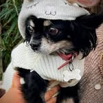 Beverley Butterfield - @beverley0707 - Instagram