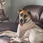 Beverly Beckwith-Button - @beckwithbutton - Instagram