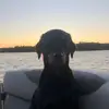 beverlybuttswilli - @beverlybuttswilli - TikTok